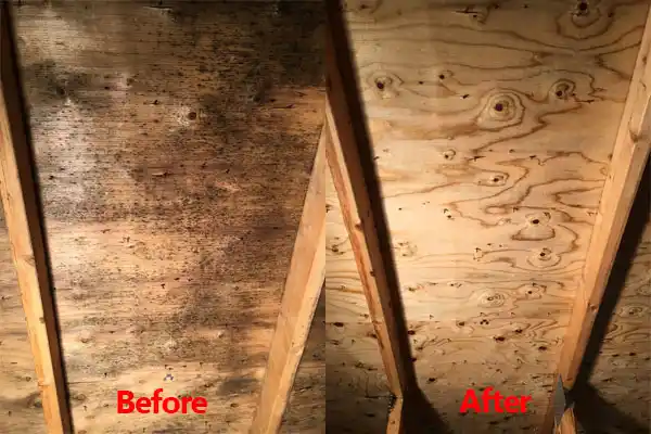 water damage restoration service Myers Corner
